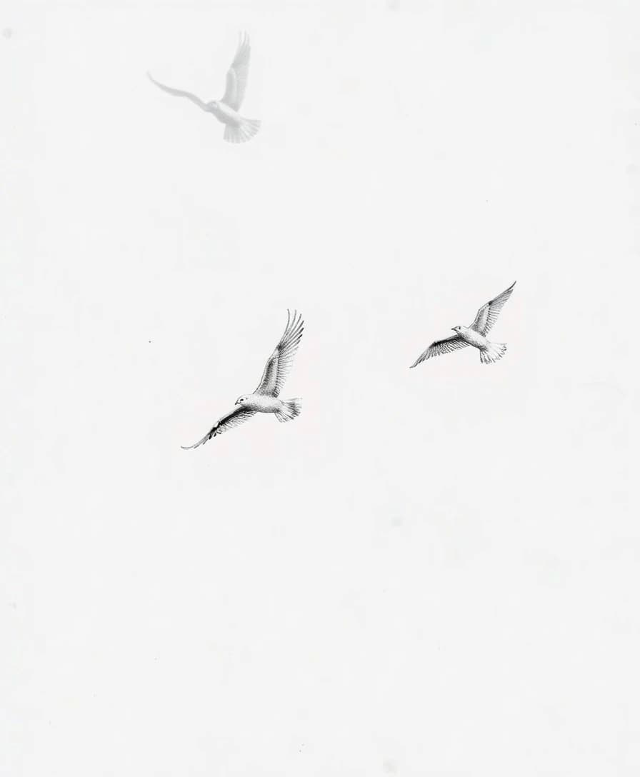 Pencil birds